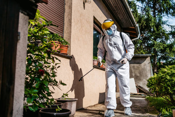 Best Flea Control Services  in Putnam Lake, NY